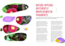 design creative magazine, booklet and editorial layouts